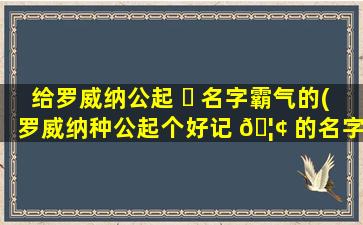 给罗威纳公起 ☘ 名字霸气的(罗威纳种公起个好记 🦢 的名字)